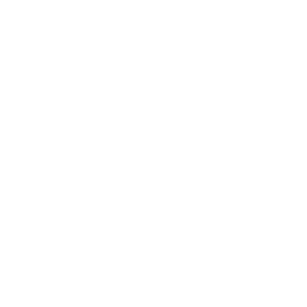 NUE Logo